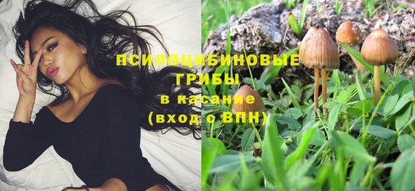 прущая мука Дмитровск