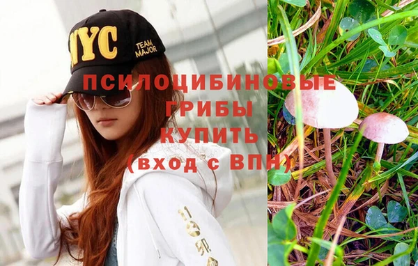 прущая мука Дмитровск