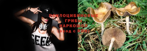 прущая мука Дмитровск